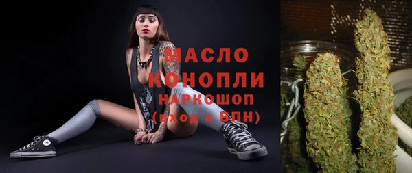гидра Осинники