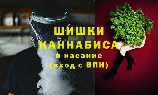 гидра Осинники