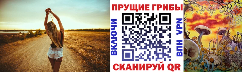 Галлюциногенные грибы прущие грибы  Пошехонье 
