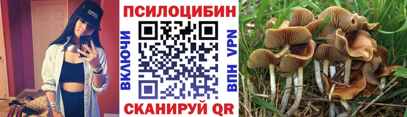 Галлюциногенные грибы Psilocybine cubensis Пошехонье